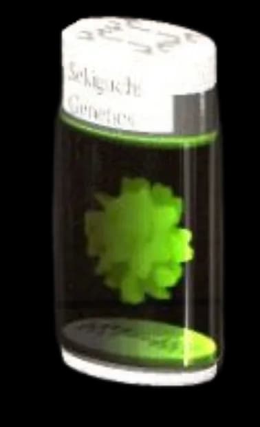 Biohazard Canister